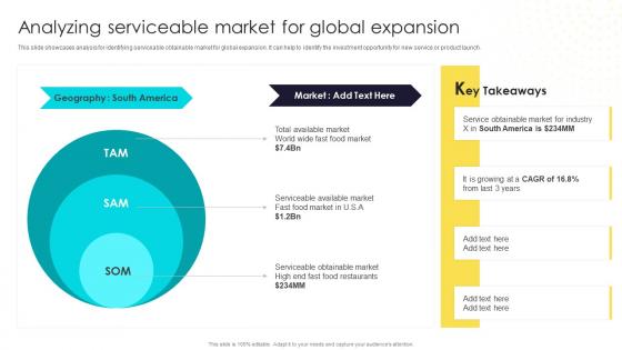 Analyzing Serviceable Target Market Assessment For Global Expansion