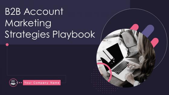 B2B Account Marketing Strategies Playbook Powerpoint Presentation Slides