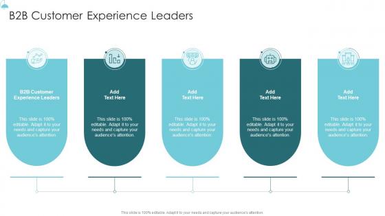 B2B Customer Experience Leaders In Powerpoint And Google Slides Cpb