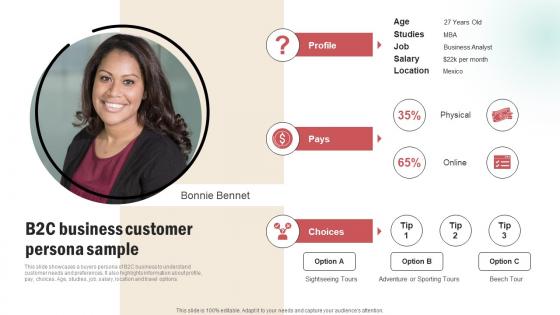 B2C Business Customer Persona Sample Customer Persona Creation Plan