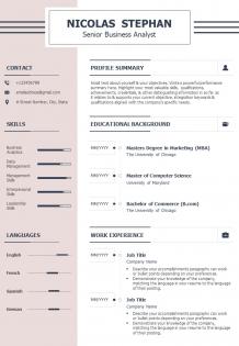 Best senior business associate cv example template