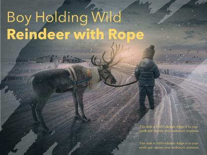 Boy holding wild reindeer with rope