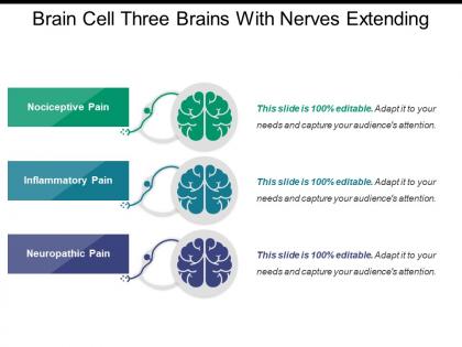 Brain cell three brains with nerves extending