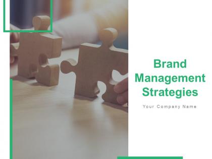 Brand Management Strategies Powerpoint Presentation Slides