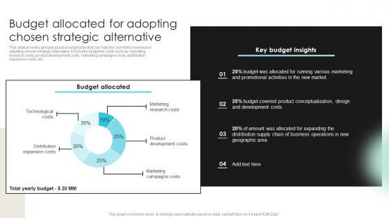 Budget Allocated For Adopting Chosen Detailed Strategic Analysis For Better Organizational Strategy SS V