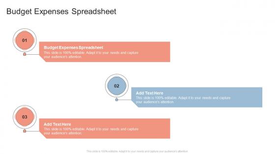 Budget Expenses Spreadsheet In Powerpoint And Google Slides Cpb