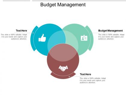 Budget management ppt powerpoint presentation gallery backgrounds cpb