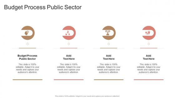 Budget Process Public Sector In Powerpoint And Google Slides Cpb