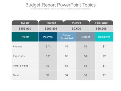 Budget report powerpoint topics