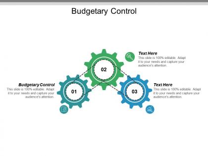 Budgetary control ppt powerpoint presentation styles maker cpb