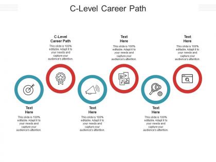 C level career path ppt powerpoint presentation infographics summary cpb