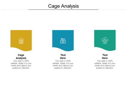 Cage analysis ppt powerpoint presentation infographics designs download cpb