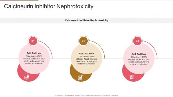 Calcineurin Inhibitor Nephrotoxicity In Powerpoint And Google Slides Cpp