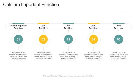 Calcium Important Function In Powerpoint And Google Slides Cpb