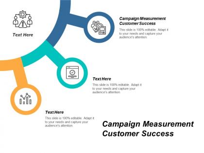 Campaign measurement customer success ppt powerpoint presentation file show cpb