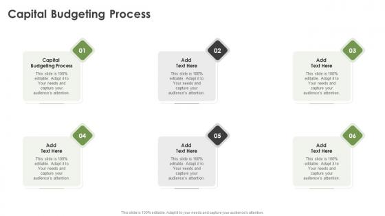 Capital Budgeting Process In Powerpoint And Google Slides Cpb