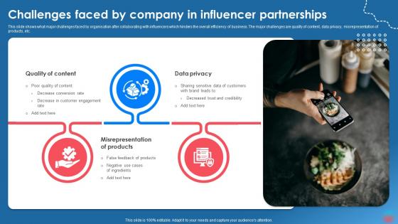 Challenges Faced By Company In Influencer Partnerships