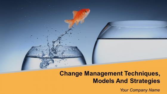 Change Management Techniques Models And Strategies Powerpoint Presentation Slides