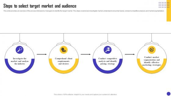 Charity Organization Strategic Plan Steps To Select Target Market And Audience MKT SS V