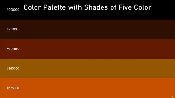 Color Palette With Five Shade Black Brown Pod Cedar Wood Finish Brown Burnt Orange