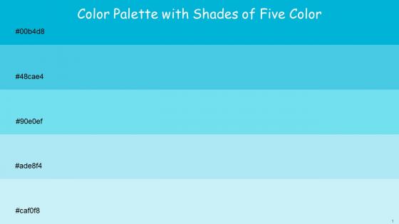 Color Palette With Five Shade Cerulean Picton Blue Spray Ice Cold Humming Bird