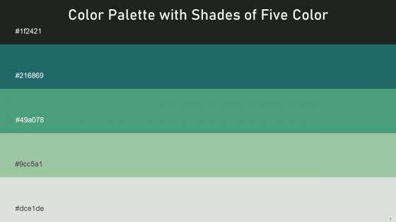 Color Palette With Five Shade Heavy Metal Elm Ocean Green Spring Rain Tasman