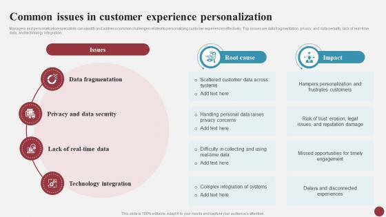 Common Issues Customer Experience Personalization Mastering Cx Excellence Strategies For Success