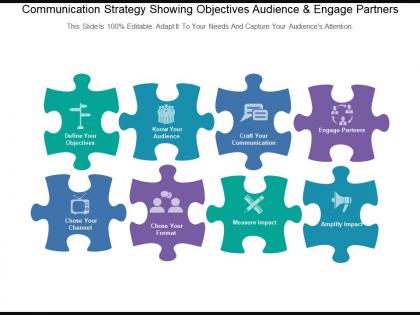 Communication strategy showing objectives audience and engage partners