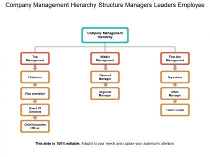 Company management hierarchy structure managers leaders employee