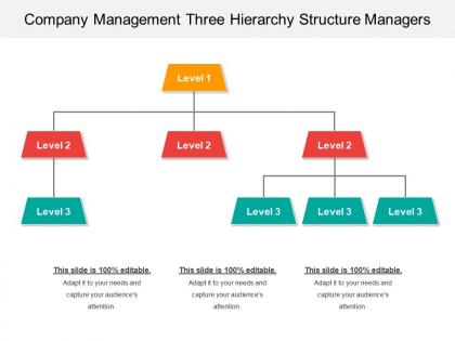 Company management three hierarchy structure managers