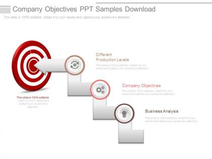 Company objectives ppt samples download