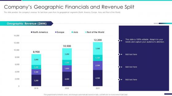 Company profile information technology companys geographic financials and revenue