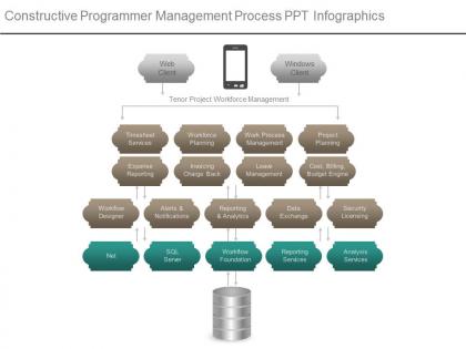 Constructive programmer management process ppt infographics