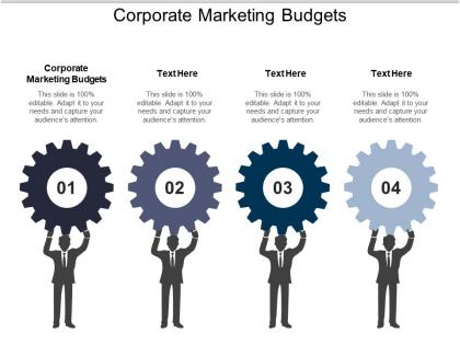 Corporate marketing budgets ppt powerpoint presentation ideas icon cpb