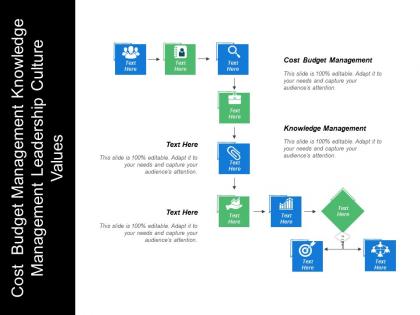 Cost budget management knowledge management leadership culture values