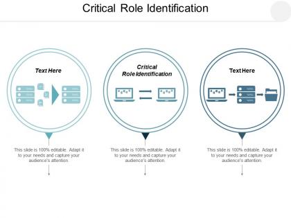 Critical role identification ppt powerpoint presentation layouts objects cpb