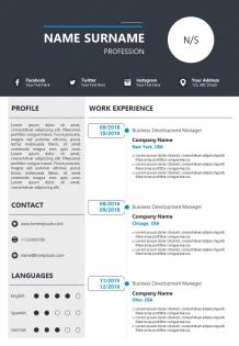 Curriculum vitae powerpoint template for job application