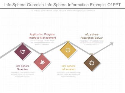 Custom info sphere guardian info sphere information example of ppt