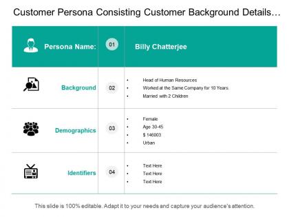 Customer persona consisting customer background details demographics identifier