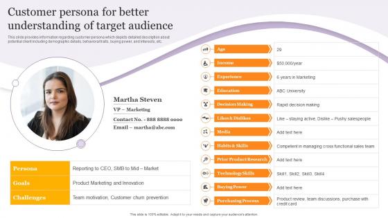 Customer Persona For Better Understanding Of Target Audience Product Corporate And Umbrella Branding