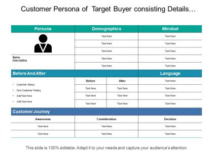 Customer persona of target buyer consisting details of demographics customer journey and language