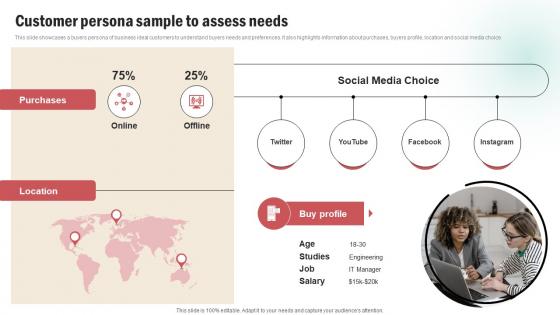 Customer Persona Sample To Assess Needs Customer Persona Creation Plan