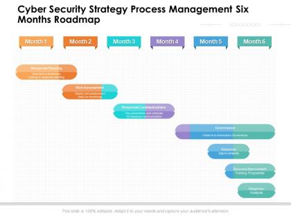 Cyber security strategy process management six months roadmap