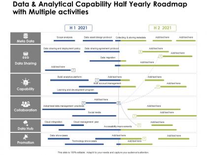 Data and analytical capability half yearly roadmap with multiple activities