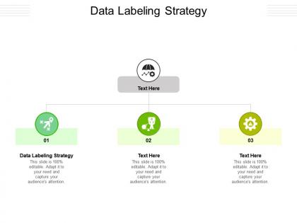 Data labeling strategy ppt powerpoint presentation infographics background image cpb