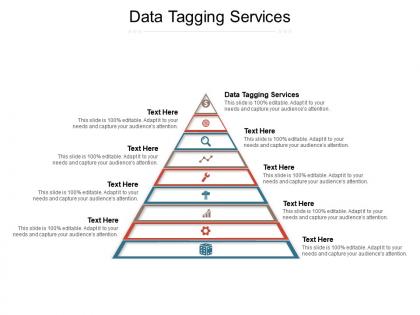 Data tagging services ppt powerpoint presentation ideas background image cpb