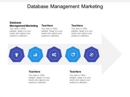 Database management marketing ppt powerpoint presentation file guide cpb