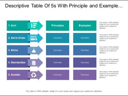 Descriptive table of 5s with principle and example of different categories of sort shine standardize and sustain