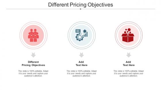 Different Pricing Objectives Ppt Powerpoint Presentation Deck Cpb