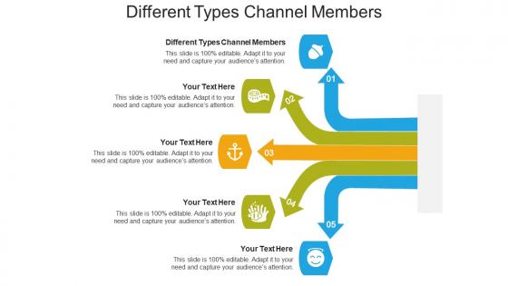 Different types channel members ppt powerpoint presentation summary design ideas cpb